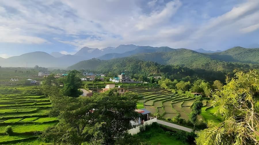 Romantic Staycation Ideas in Palampur During Monsoon