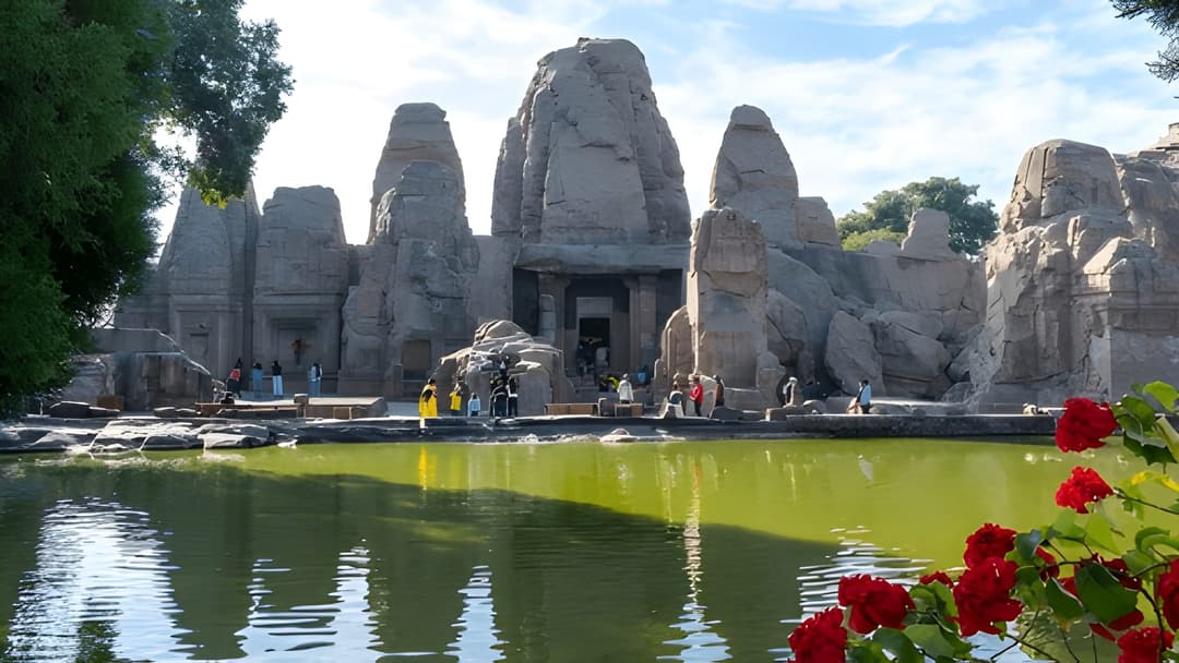 discover the best time to visit palampurÂ
